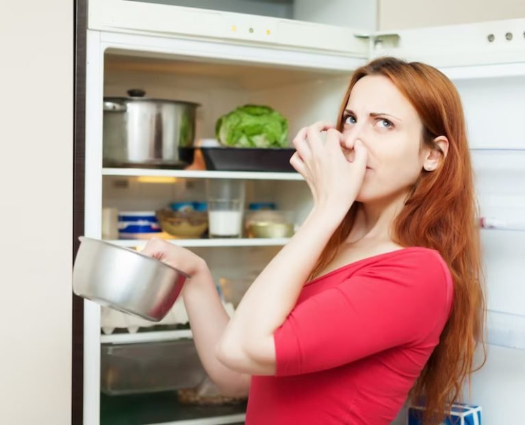 Why Does My Fridge Have a Chemical Smell? And How to Get Rid of It