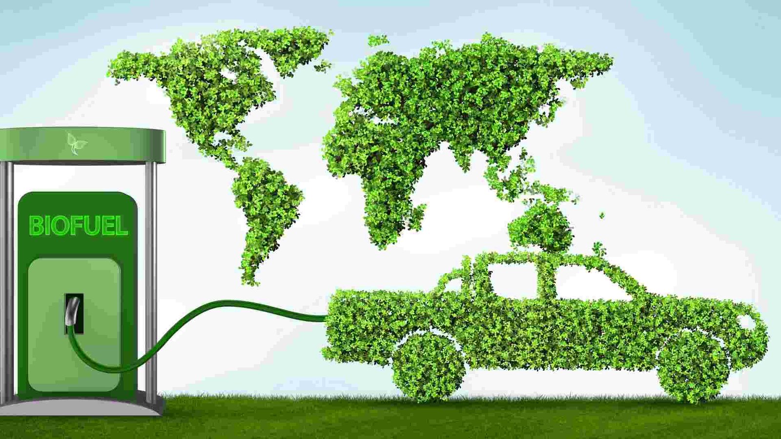 Exploring Sustainable Fuel Options for Grilling – A Complete Guide to Eco-Friendly Outdoor Cooking