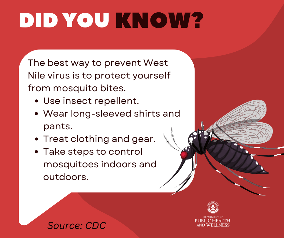 Stay Safe Outdoors: Expert Strategies for Mosquito Bite Prevention & Bug-Free Adventures