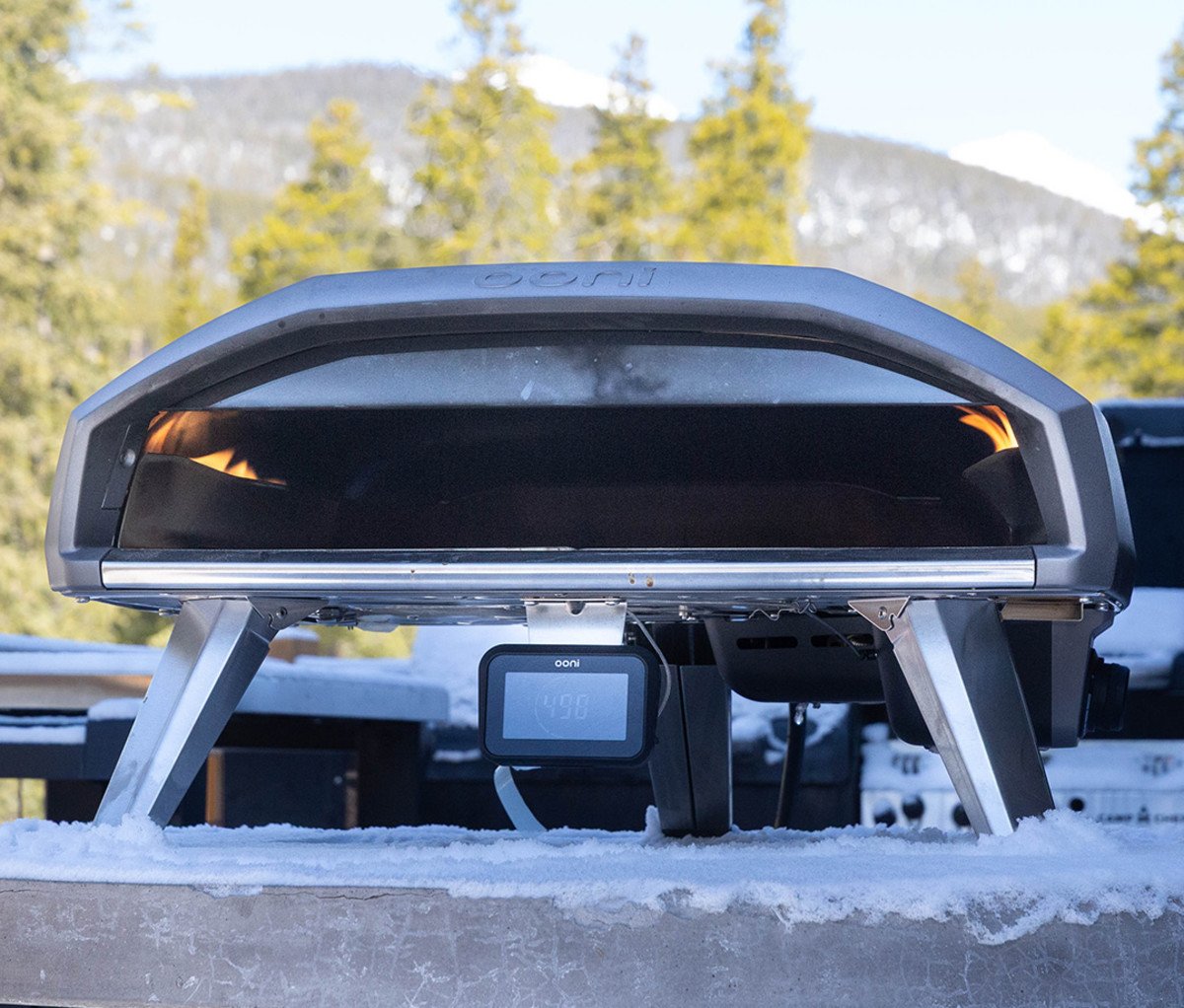 The Future of Cooking Outdoors - Exploring the Pizza Oven Trends 2025